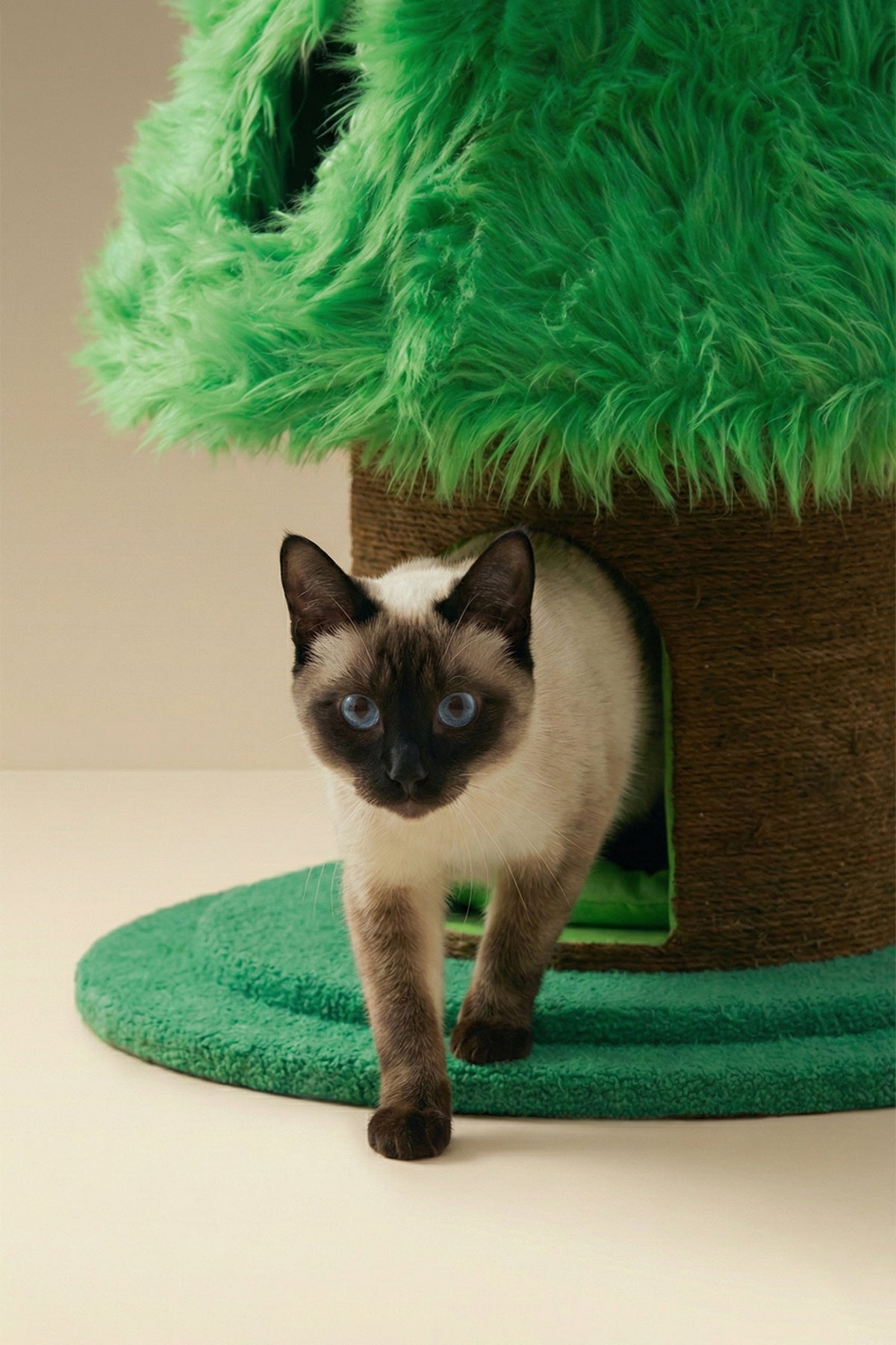 Meow Tree Cat Bed & Play Set
