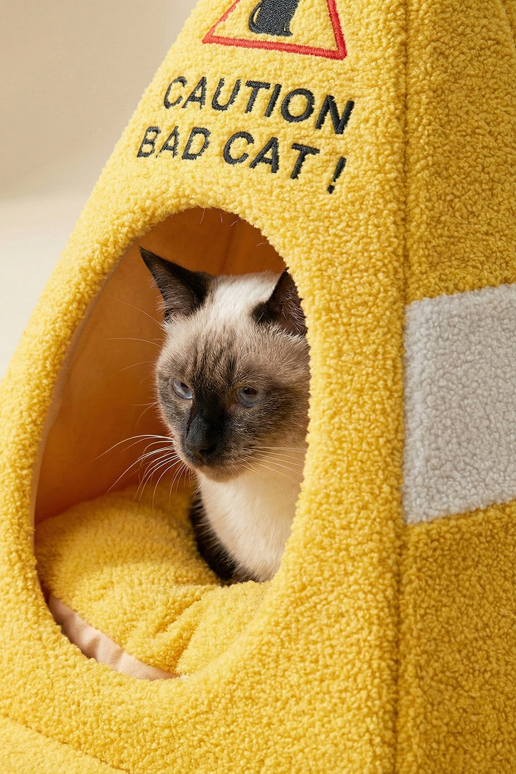 Bad Cat Bed