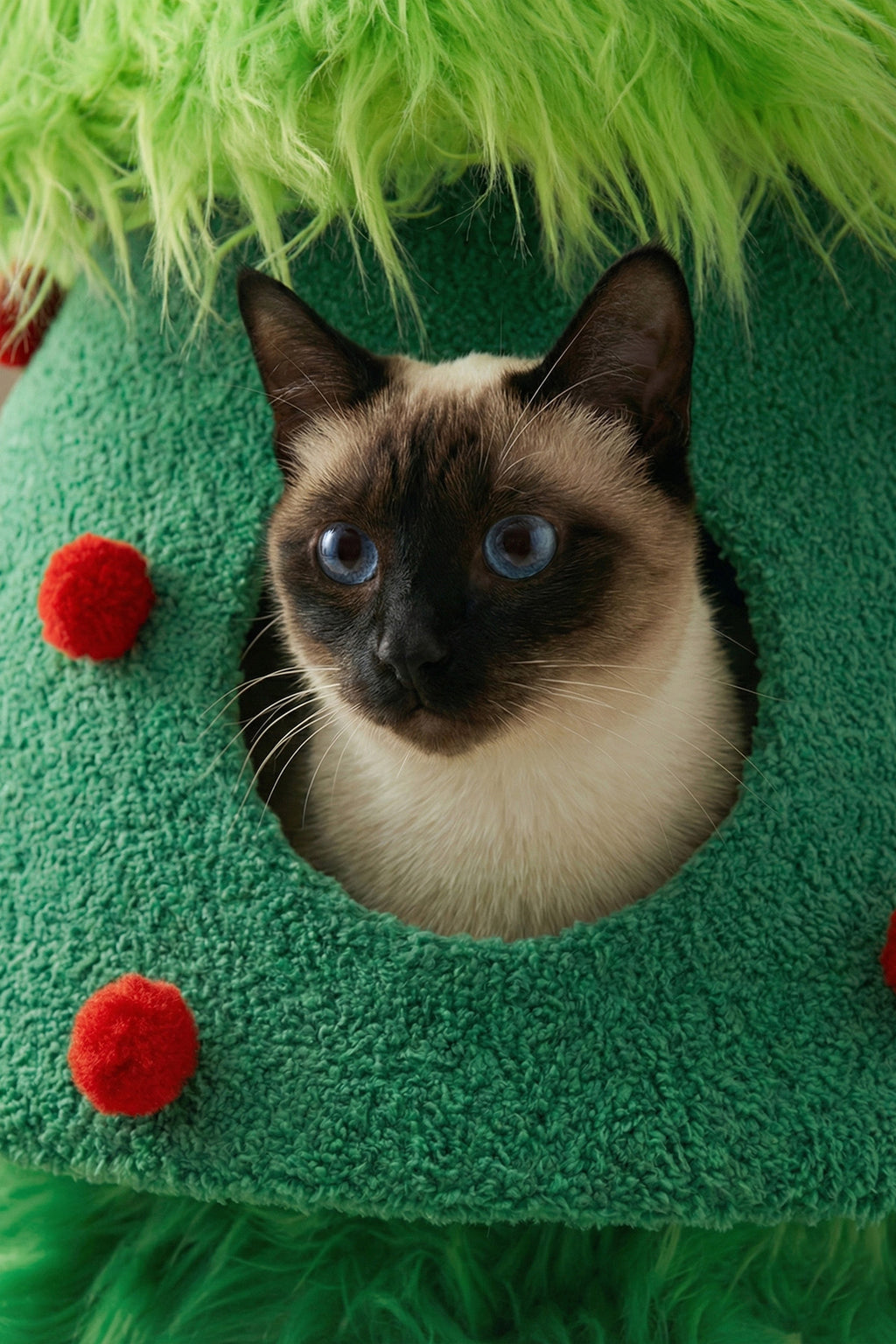 Meow Tree Cat Bed & Play Set