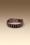 VANTA Leather Collar