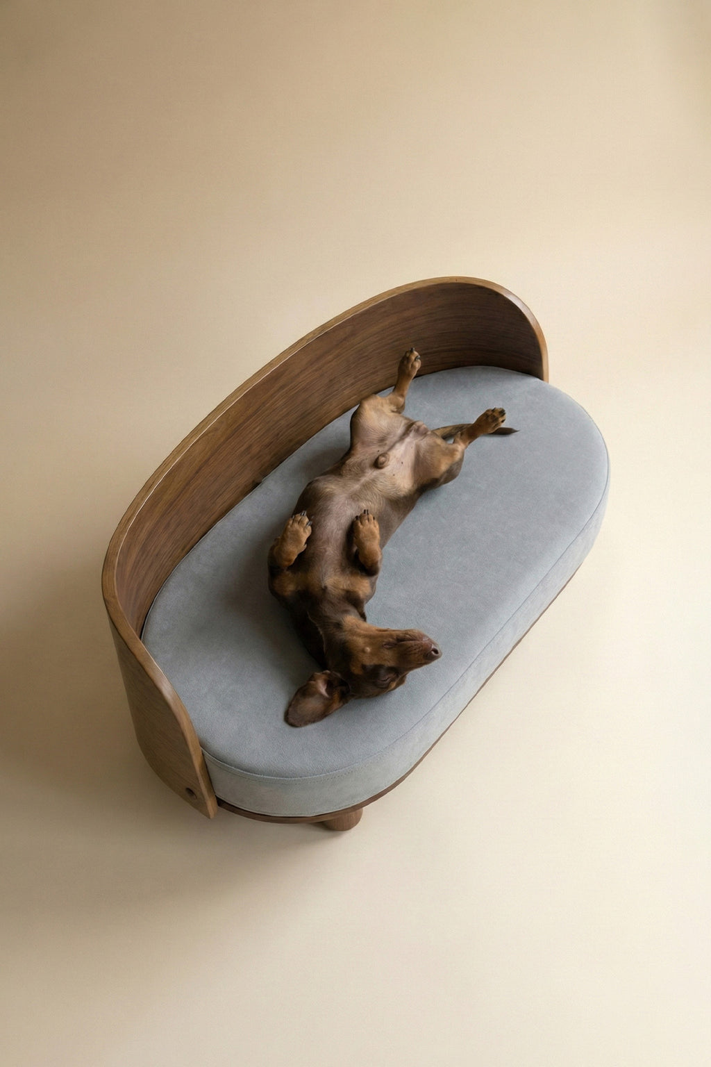 AMI Curve Pet Sofa