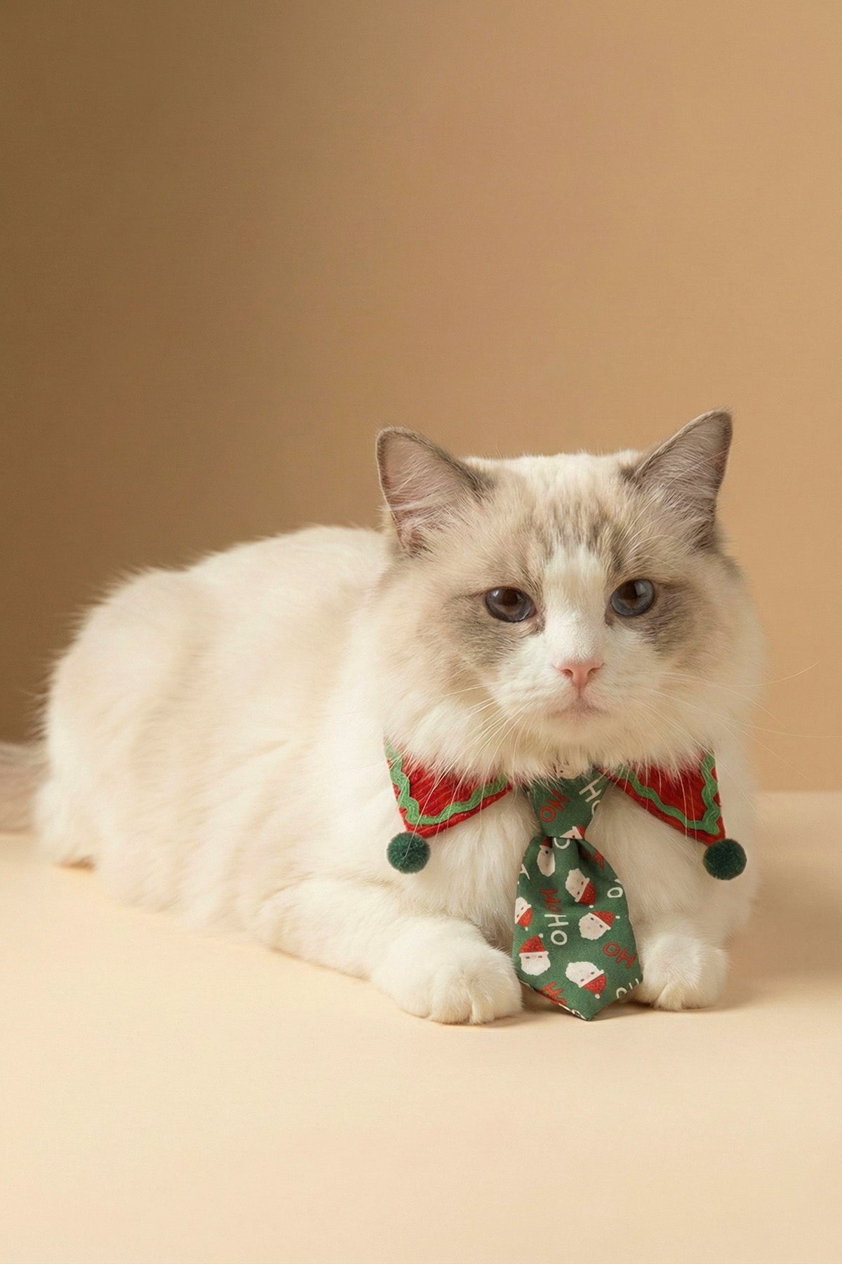 Merry Argyle  Collar