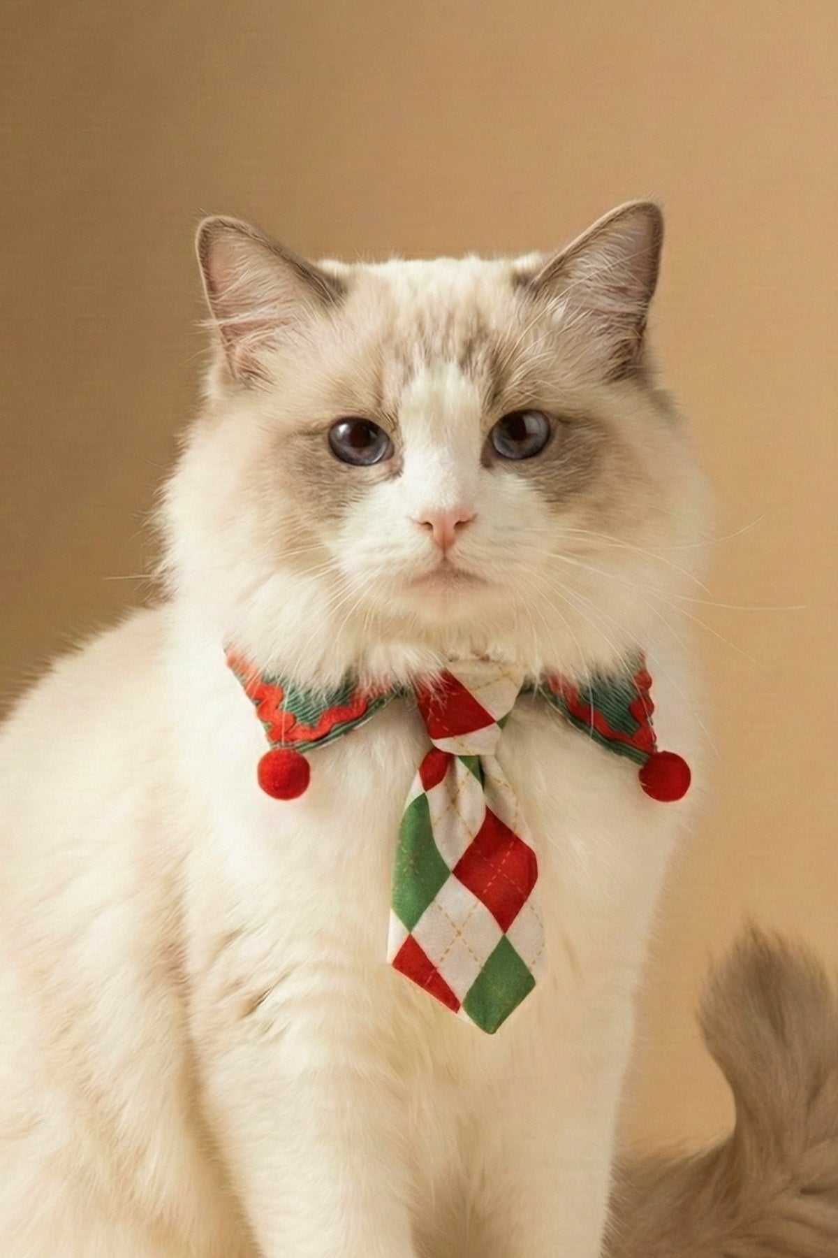 The Elf Tie Collar
