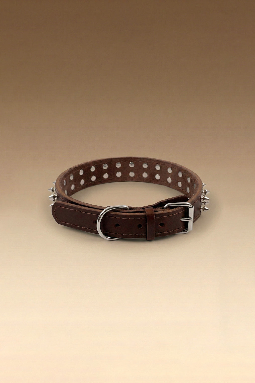 VANTA Leather Collar