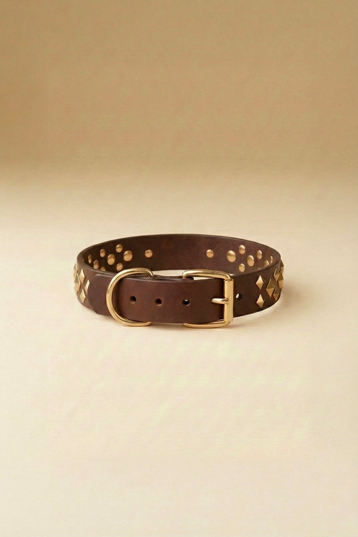 MONOCORE  Leather Collar