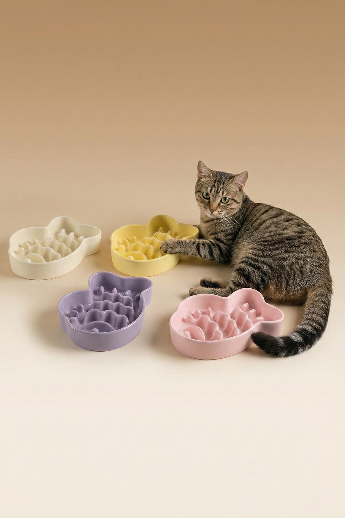 Taiyaki Slow Feeder Ceramic Pet Bowl