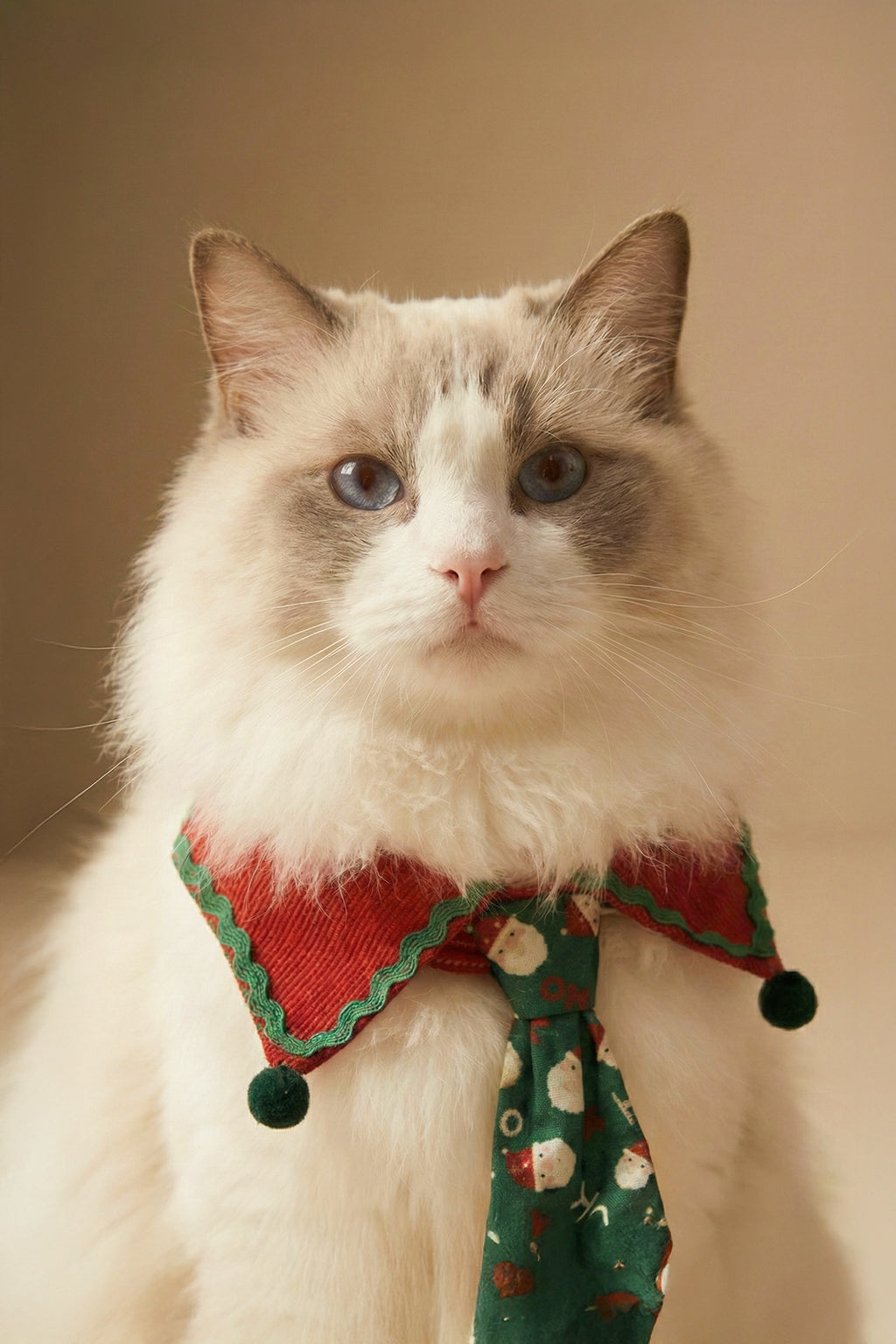 Merry Argyle  Collar