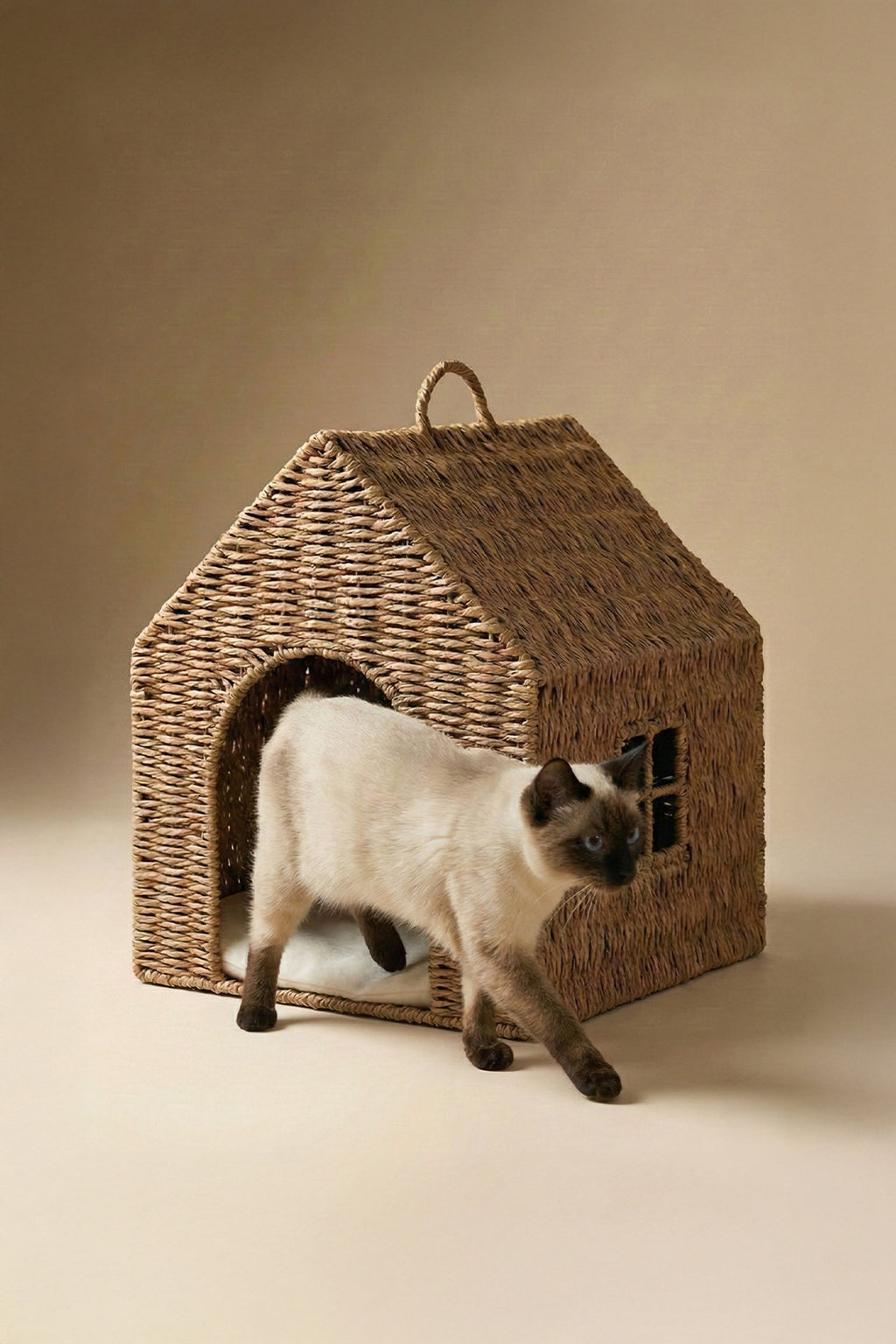 Designer Minimalist Rattan Pet House