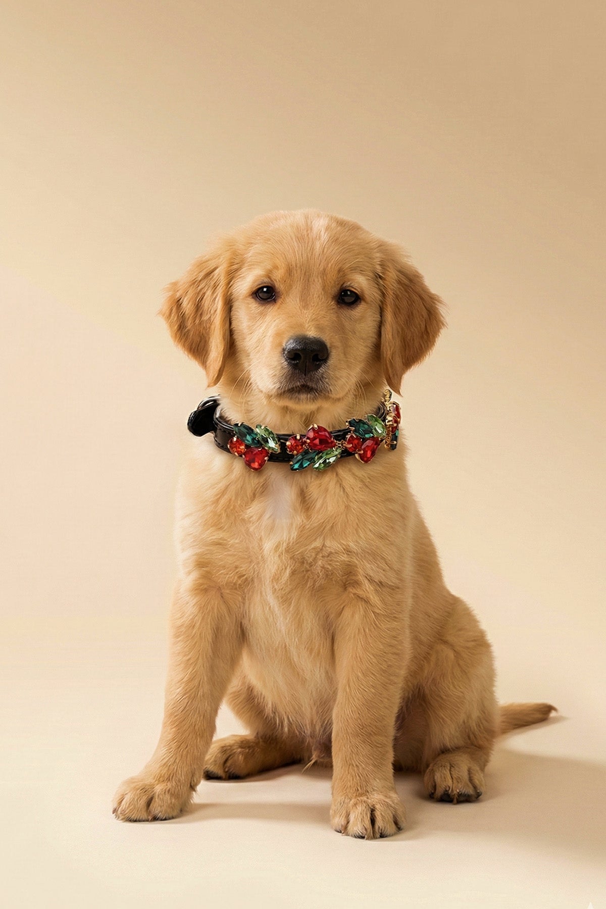 NOBLEHOUND Signature Diamond Leather Collar