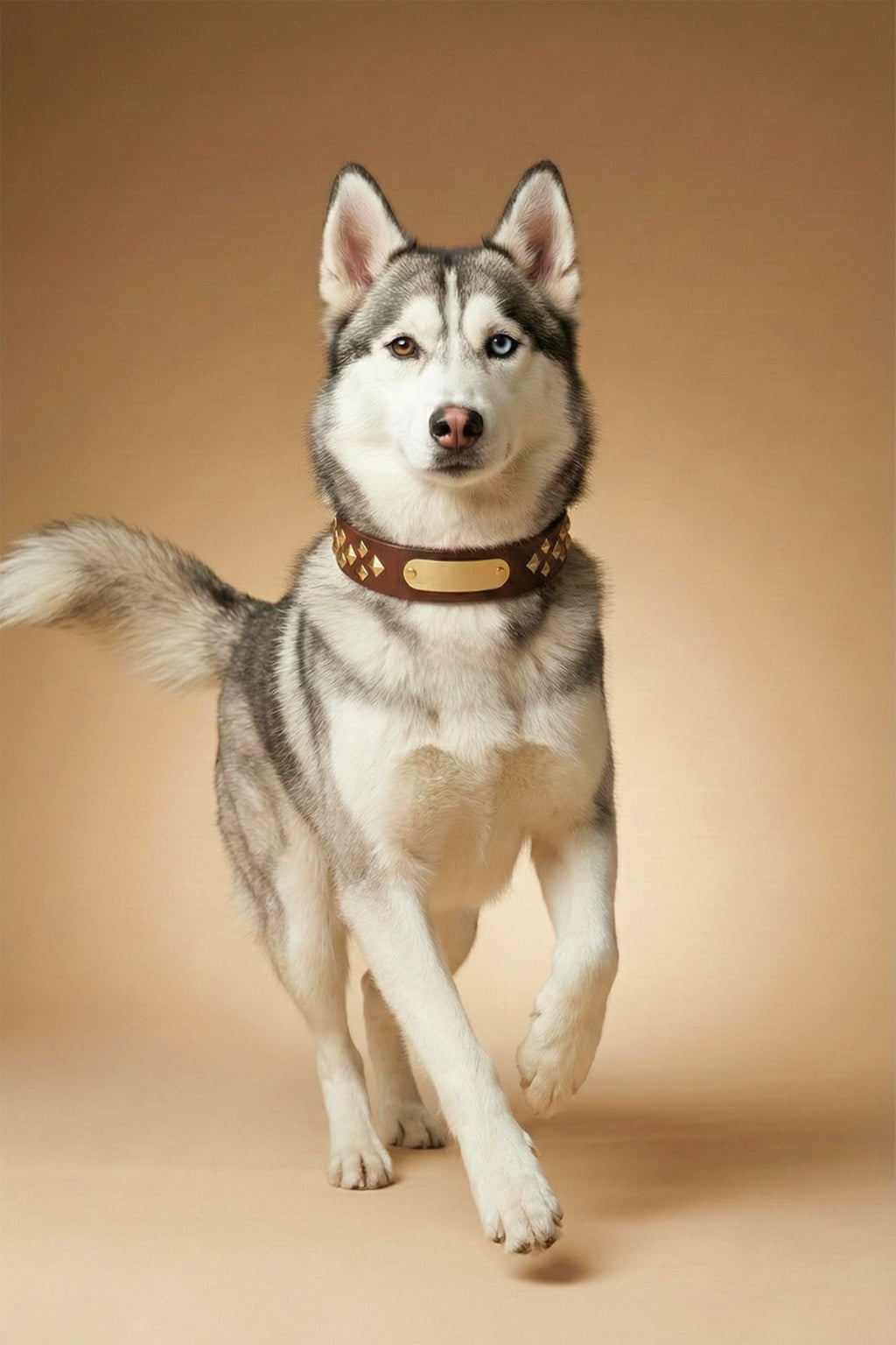 MONOCORE  Leather Collar