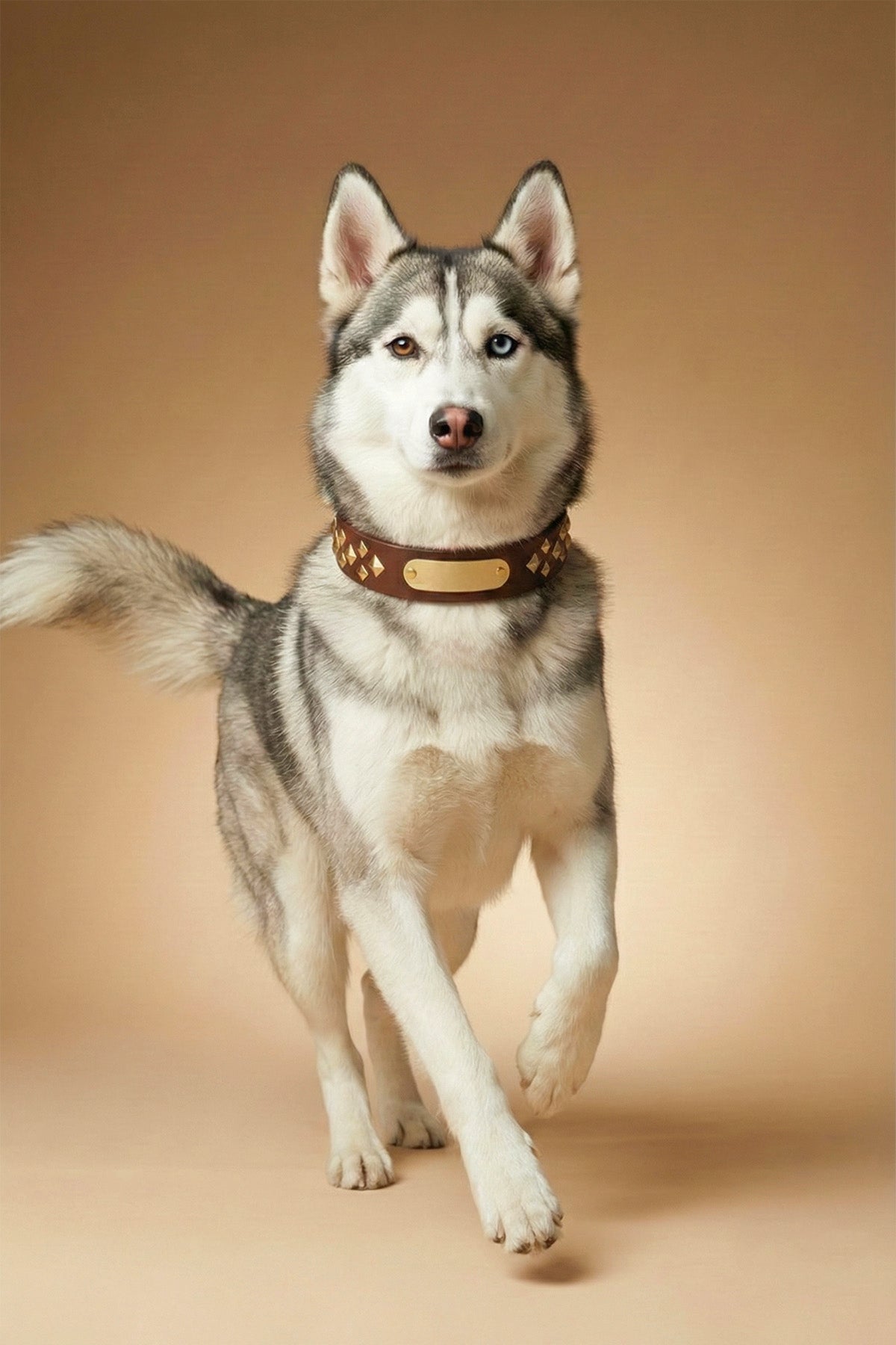 MONOCORE  Leather Collar