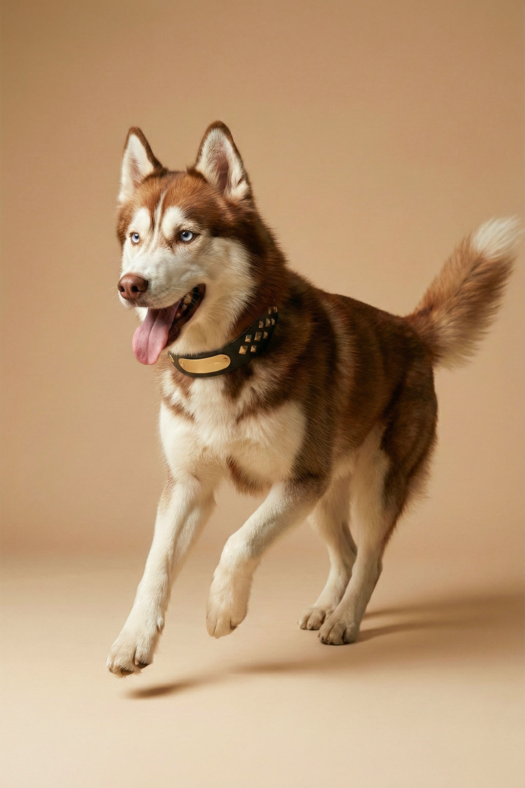 MONOCORE  Leather Collar