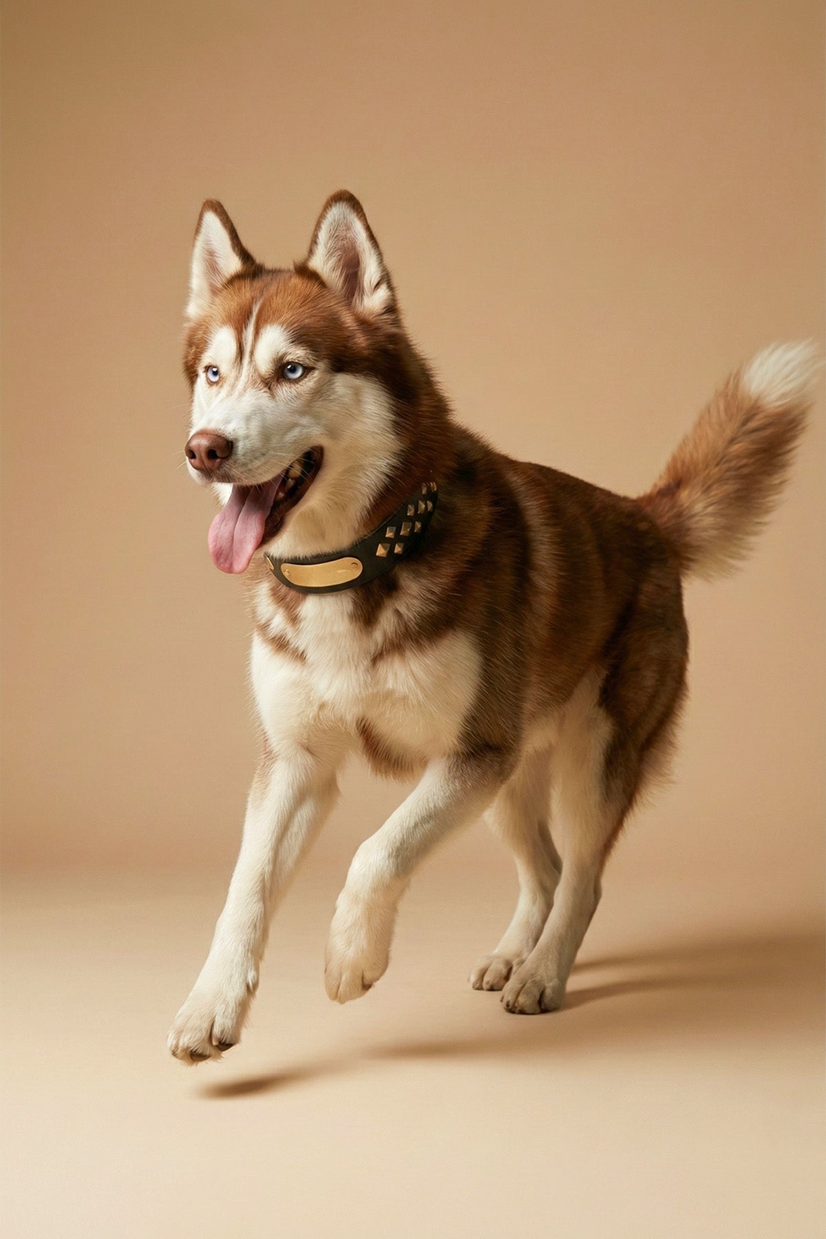 MONOCORE  Leather Collar