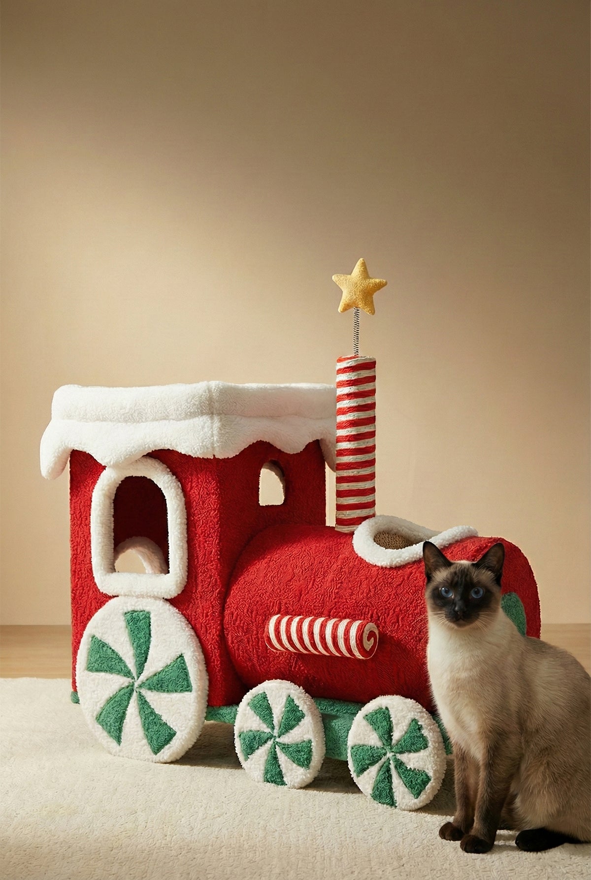 Meow Expres Cat Bed & Play Set