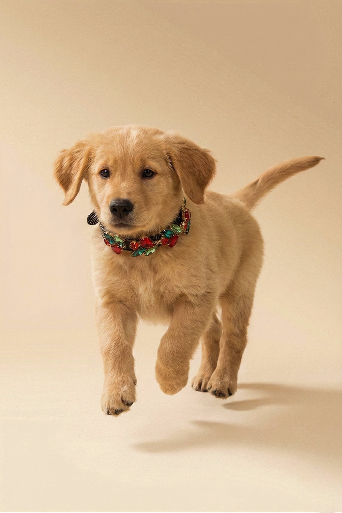 NOBLEHOUND Signature Diamond Leather Collar