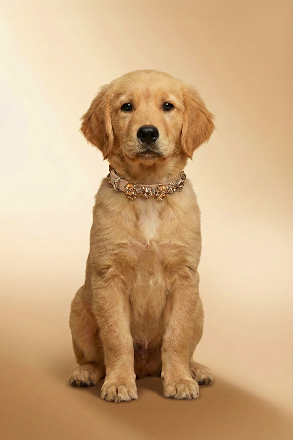 NOBLEHOUND Signature Diamond Leather Collar