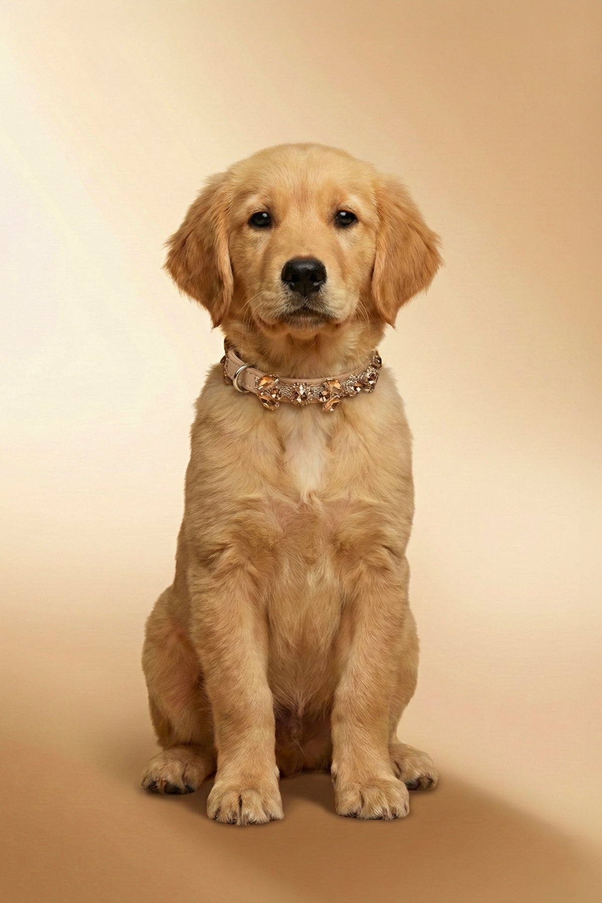 NOBLEHOUND Signature Diamond Leather Collar