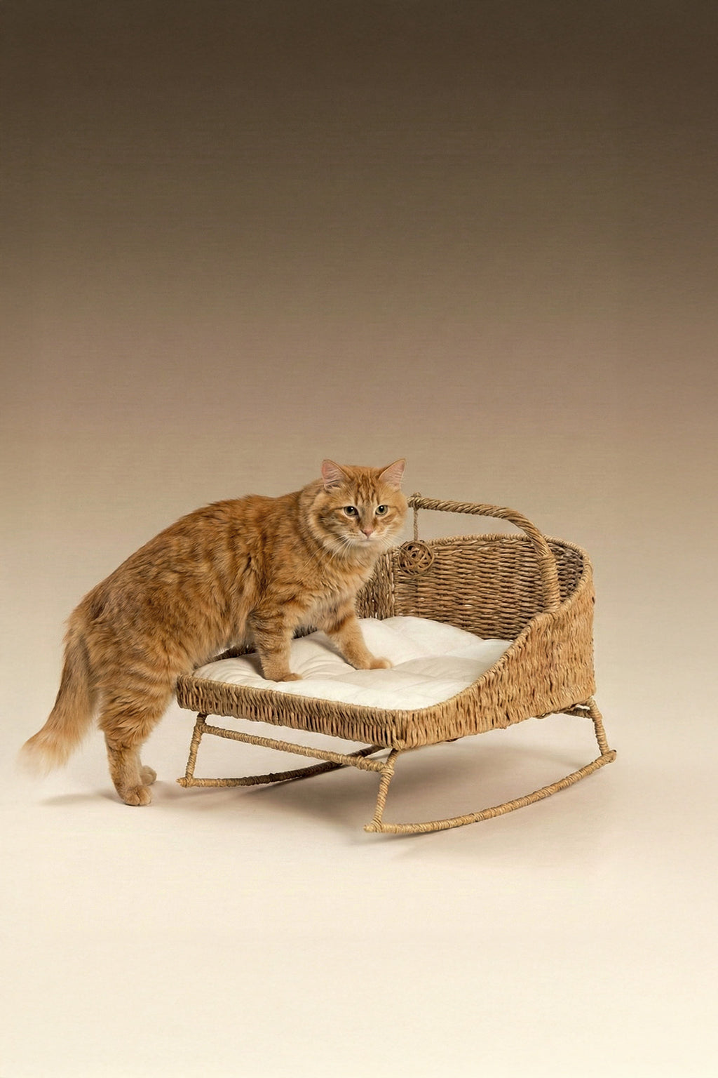 Designer Rattan Pet Cradle