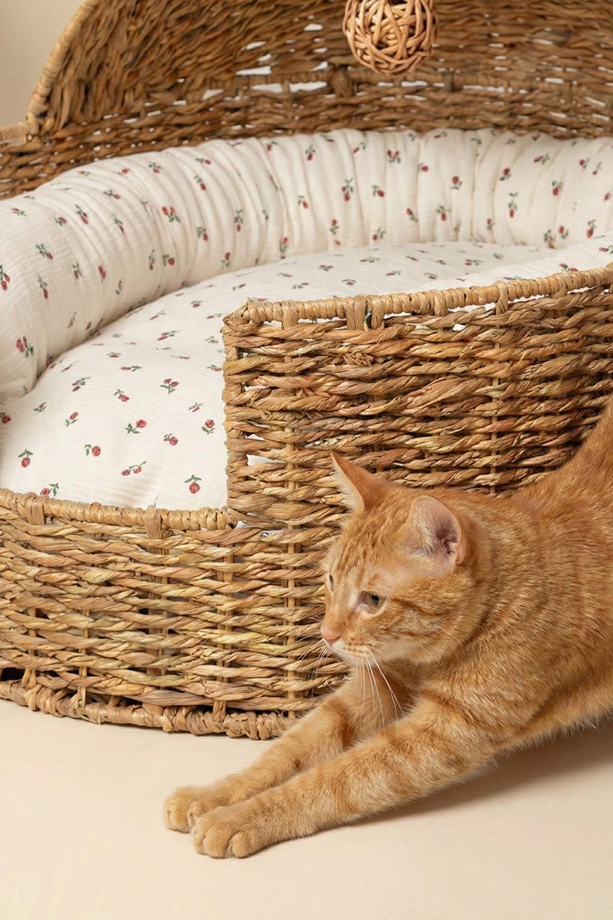 Handcrafted Rattan Pet Bed
