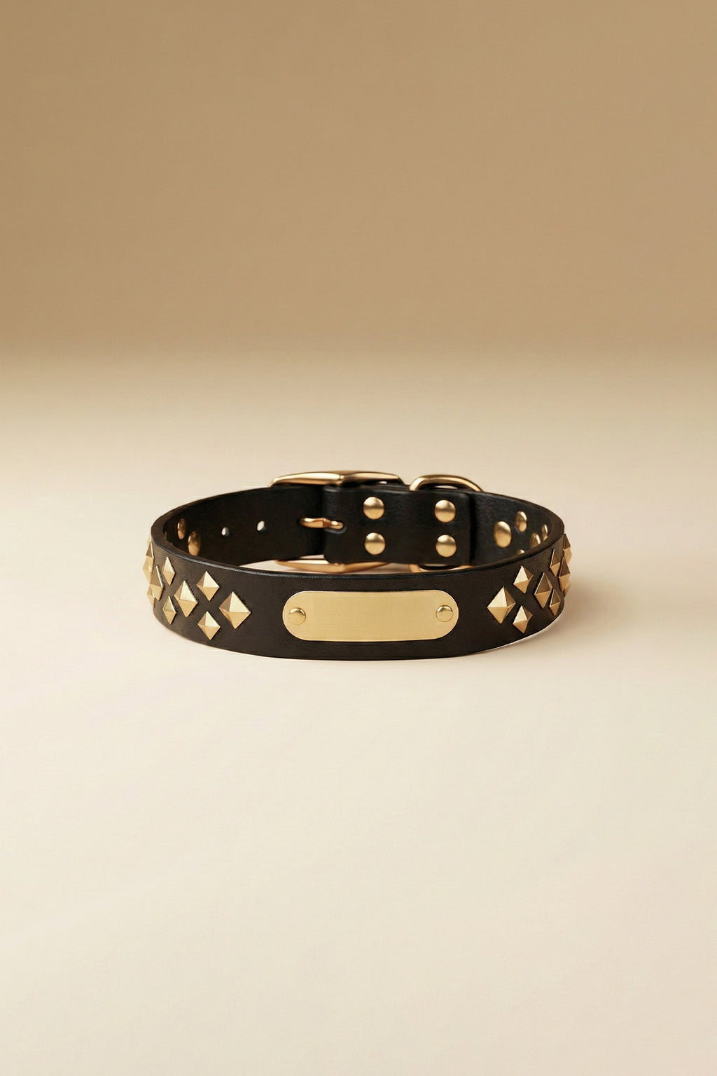 MONOCORE  Leather Collar