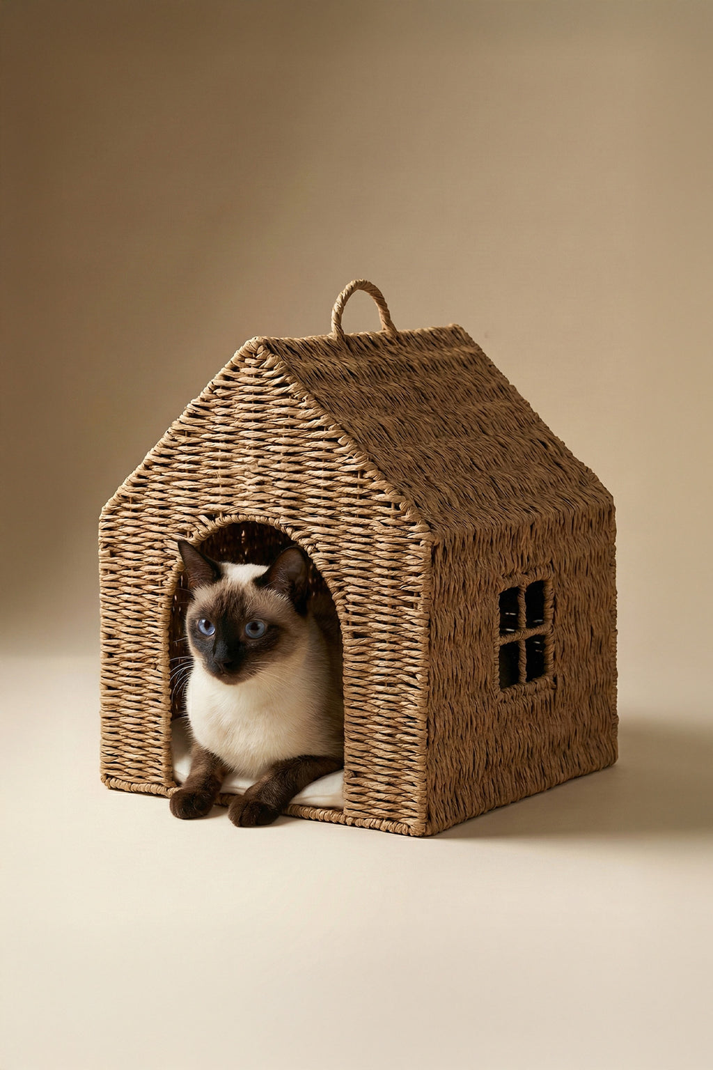 Designer Minimalist Rattan Pet House