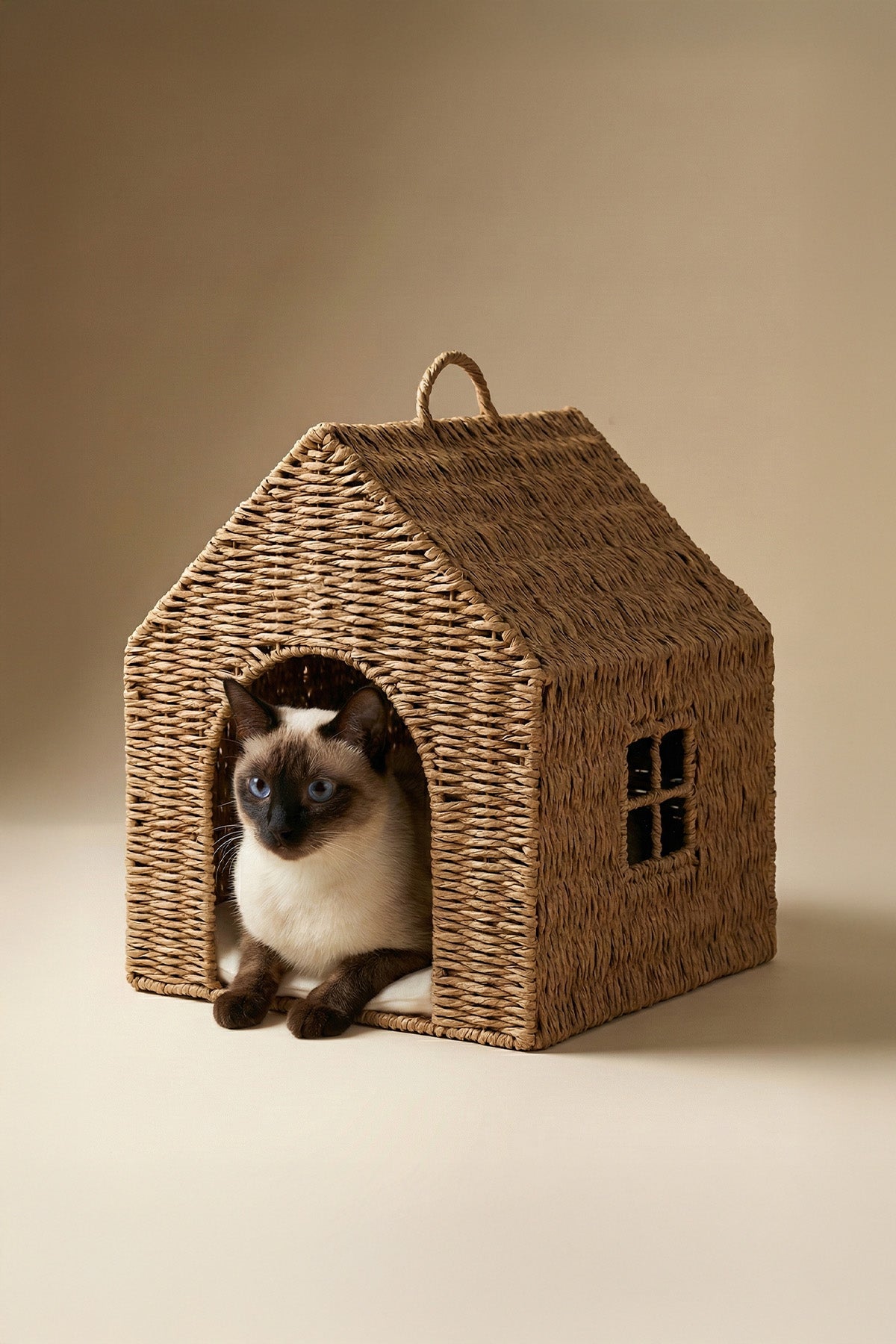 Designer Minimalist Rattan Pet House
